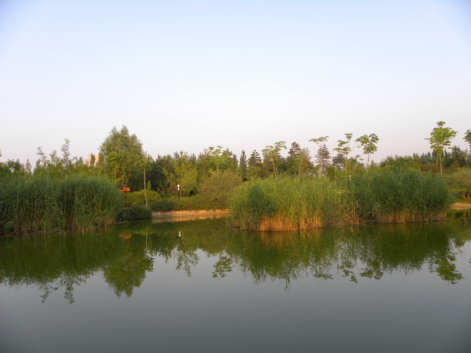 DSCN0983.JPG