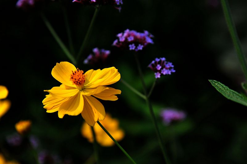 0SC_8379.jpg