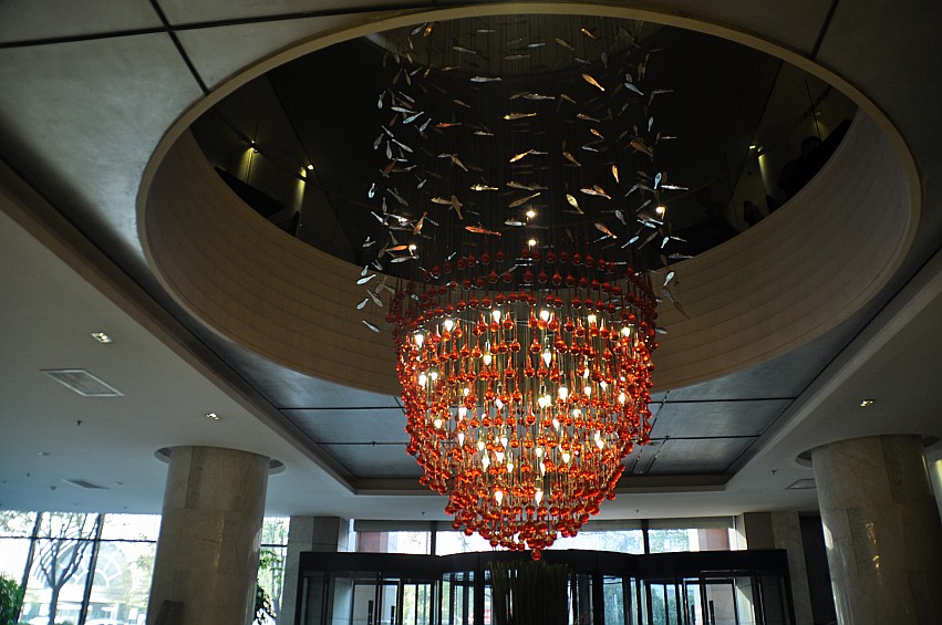 DSC_0009_conew1.jpg