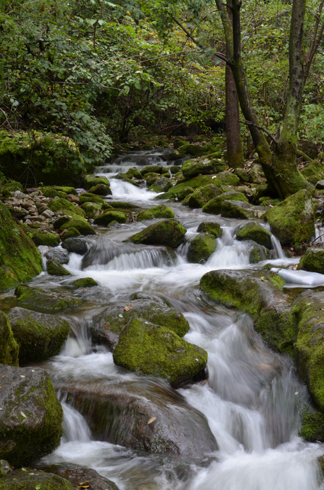 DSC_5617.jpg