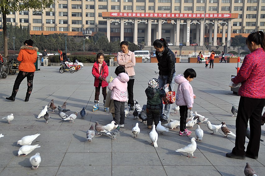 DSC_0042_conew1.jpg