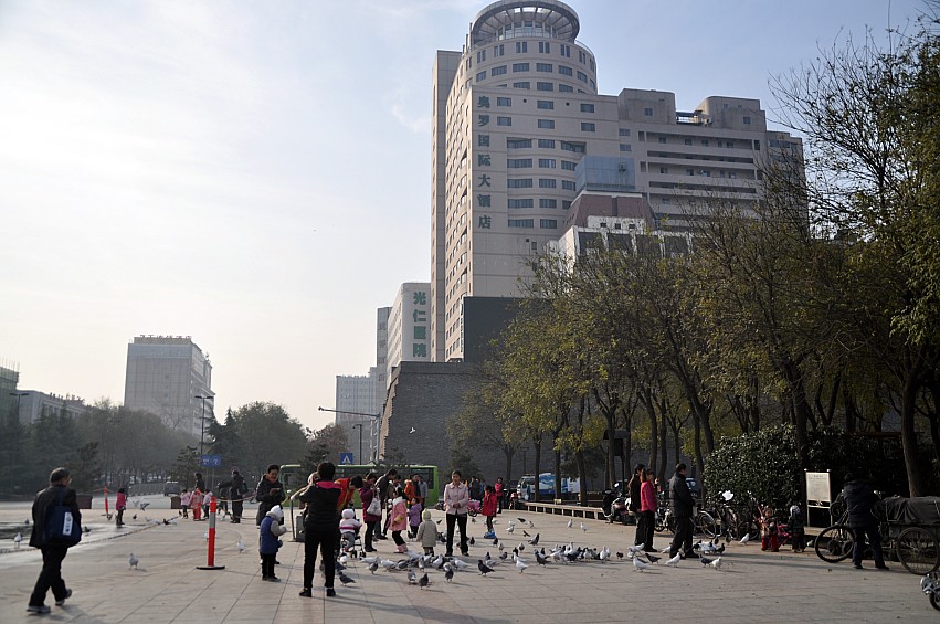 DSC_0048_conew1.jpg