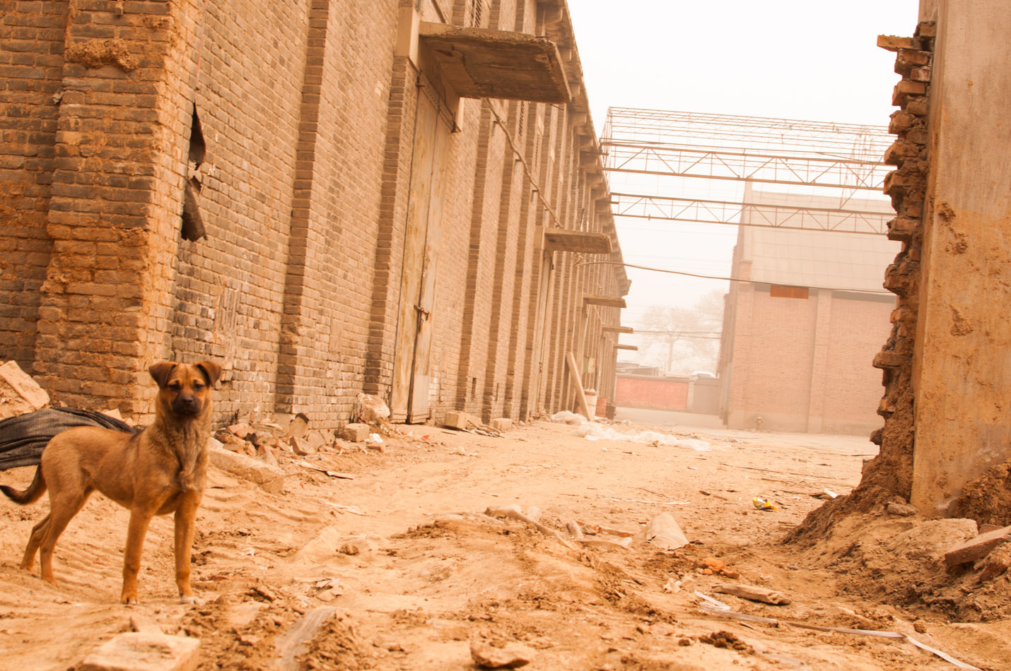 大华模特 (71 - 1).jpg