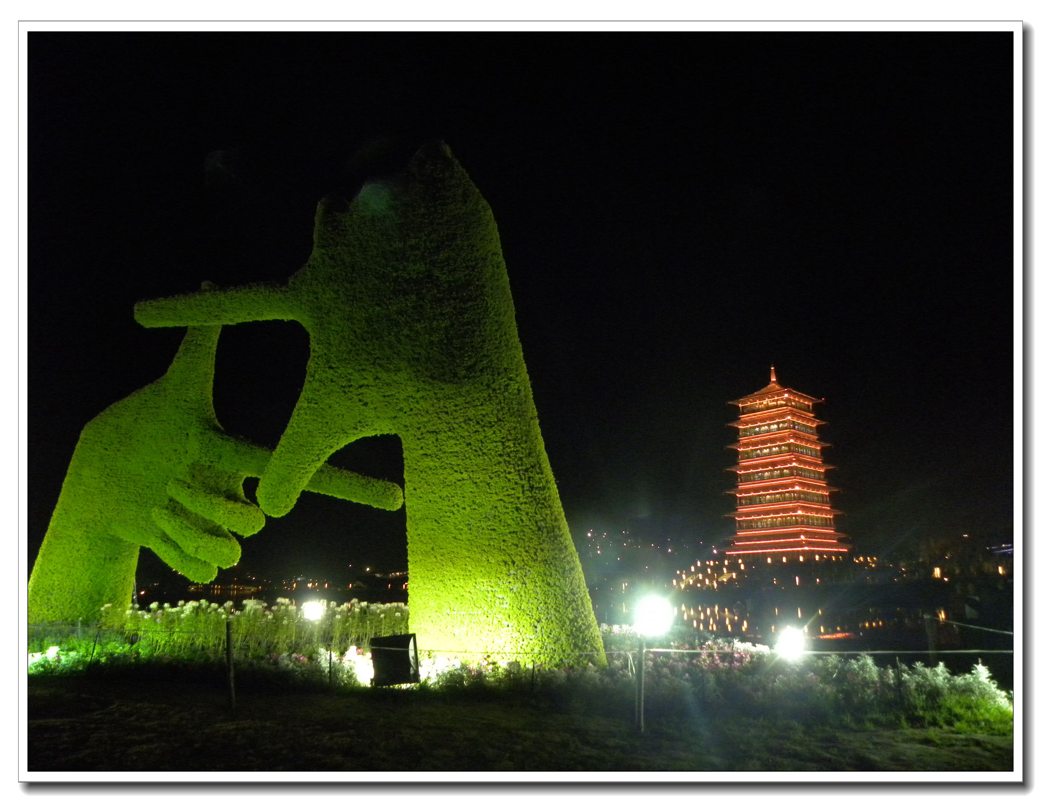 DSCN9771.JPG