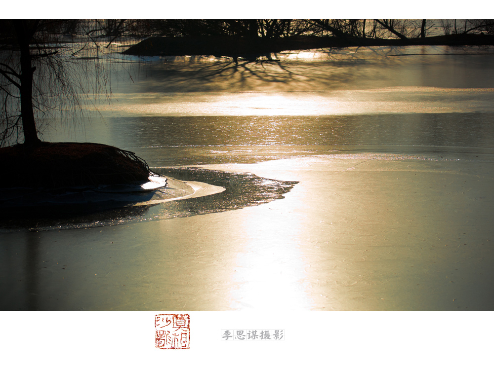 IMG_3529Pe.jpg