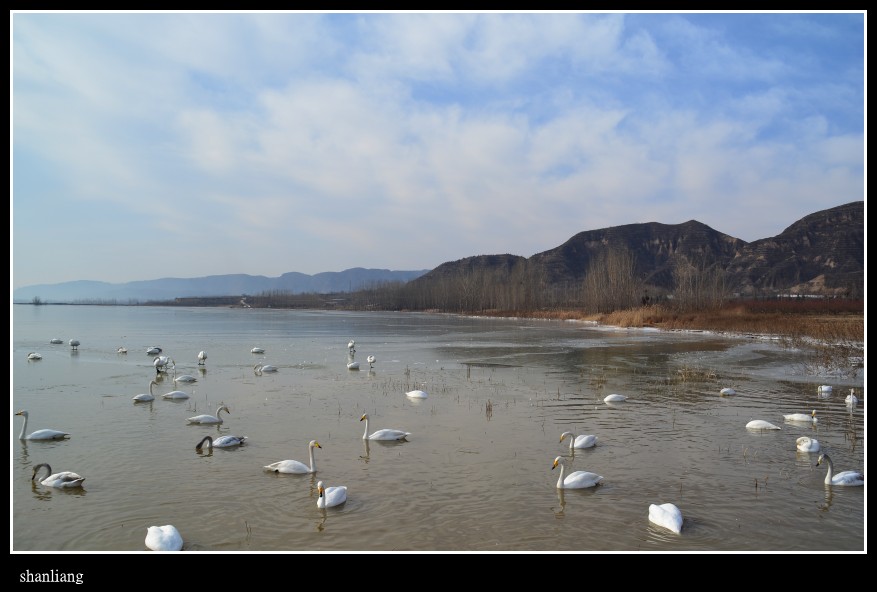 DSC_0805_conew1.JPG