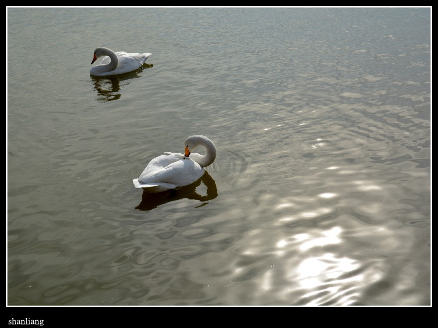 DSC_0799_conew1.jpg