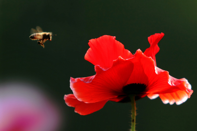 20080912_778f5a5ecf353a12c522qvvrfj3JvgEs.jpg