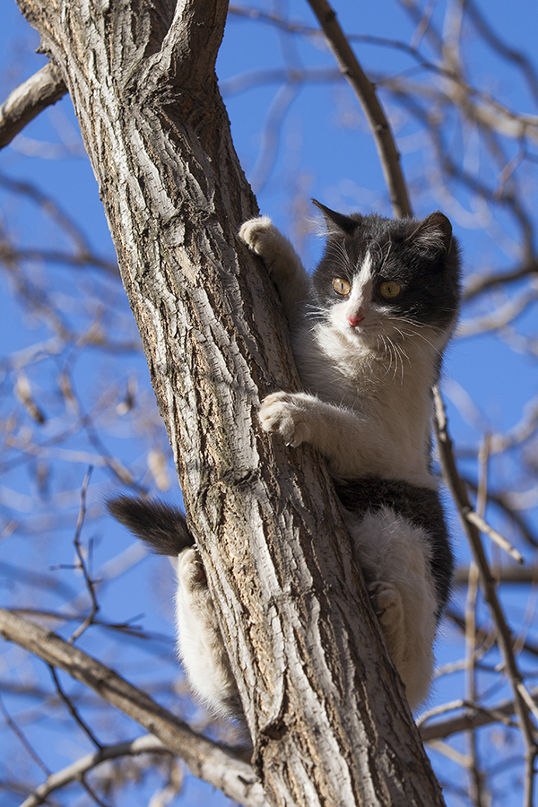 20140104_4117.jpg