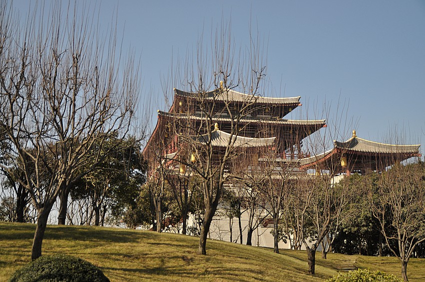 DSC_0076_conew1.jpg