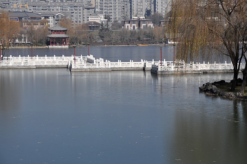 DSC_0106_conew1.jpg