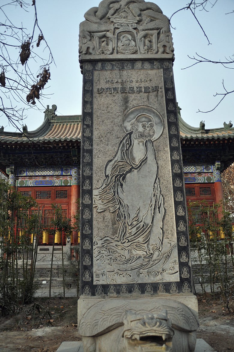 DSC_0047_conew1.jpg