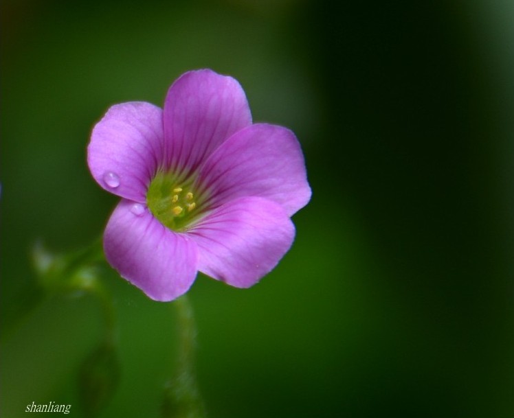 DSC_0122_conew2.jpg