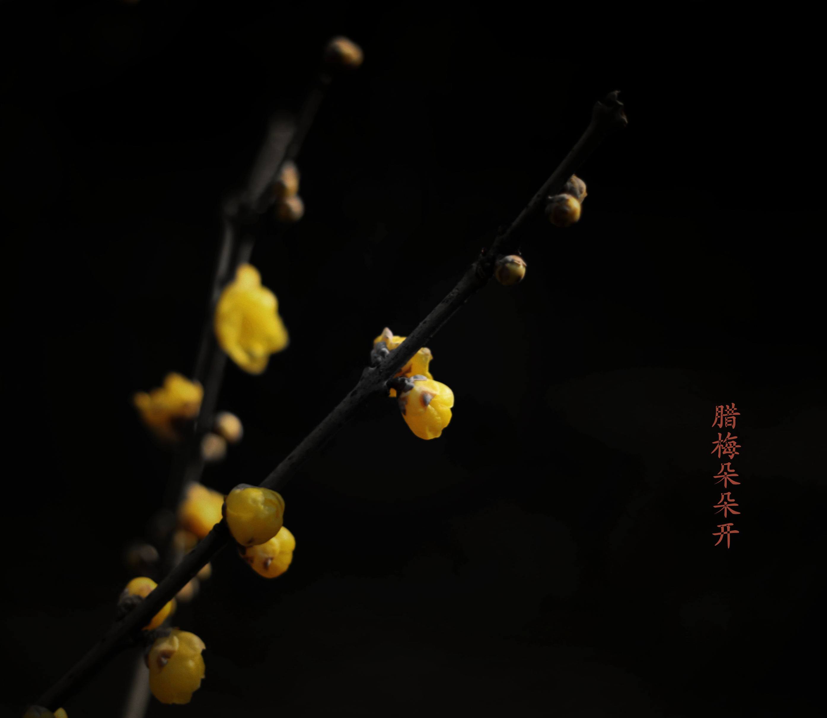 IMG_0355_副本.jpg