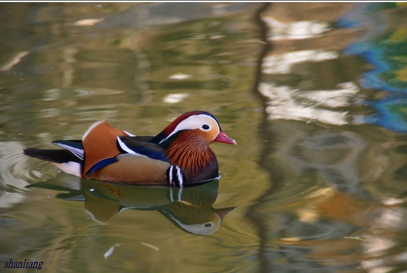 DSC_0071_conew2.jpg