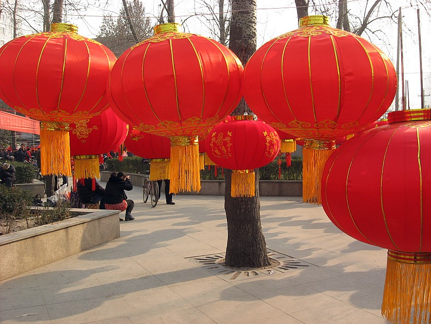 照片14.1.18 019_conew1.jpg