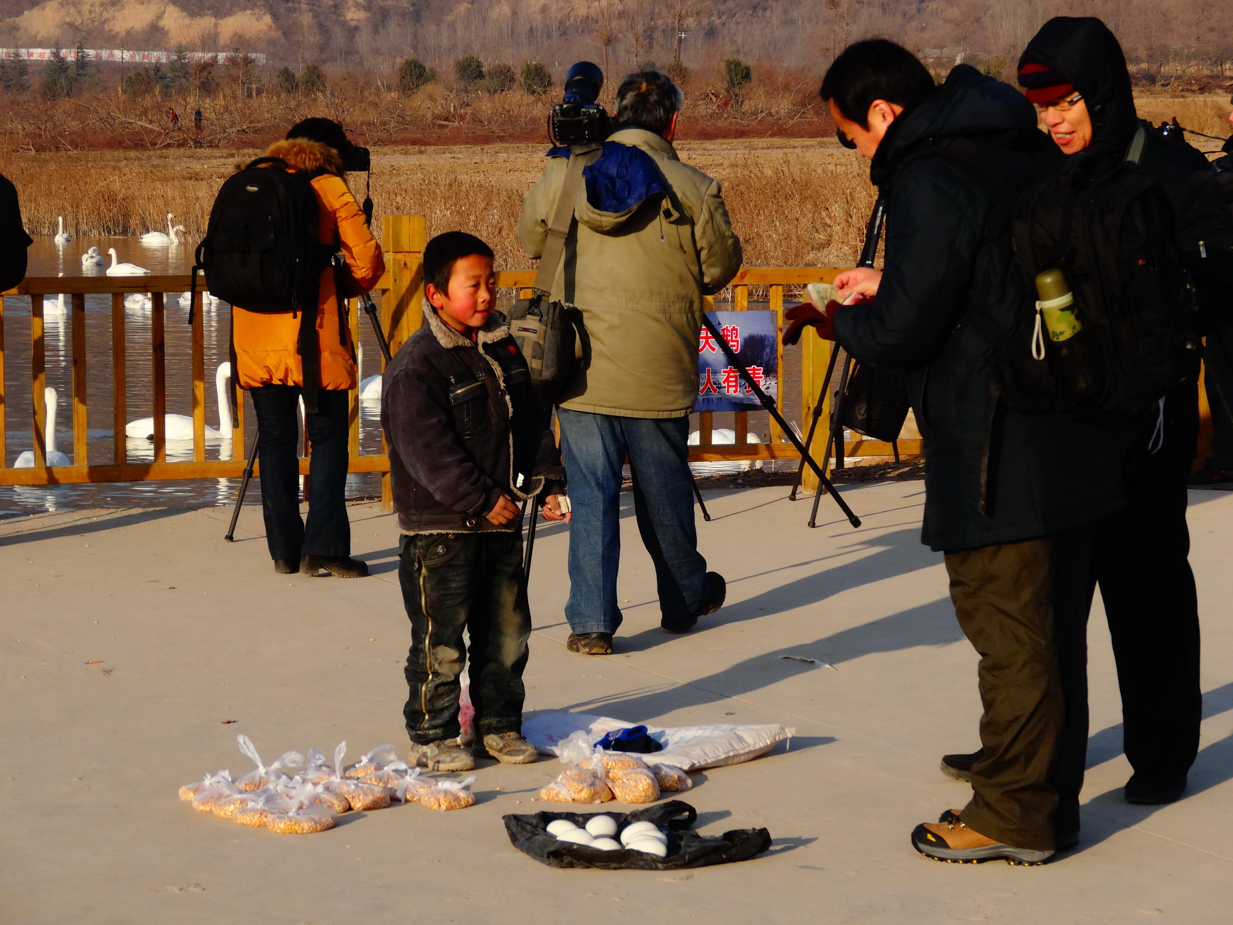 DSC09394_调整大小.jpg