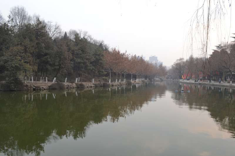 DSC_0147.jpg