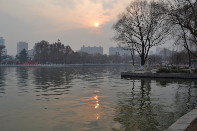 DSC_0184.jpg