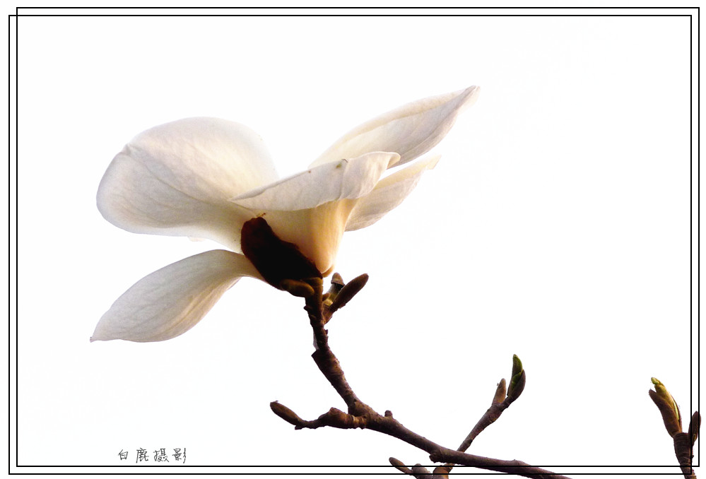 P1140358_副本.jpg