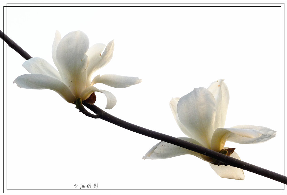 P1140372_副本.jpg