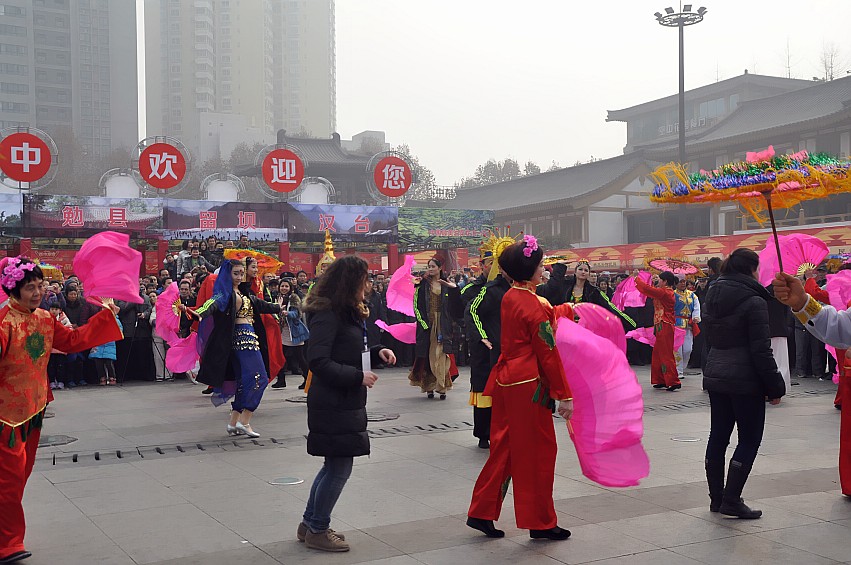 DSC_0073_conew1.jpg