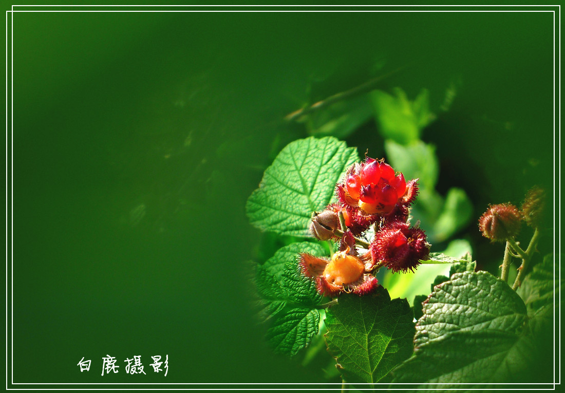 P1190180_副本.jpg