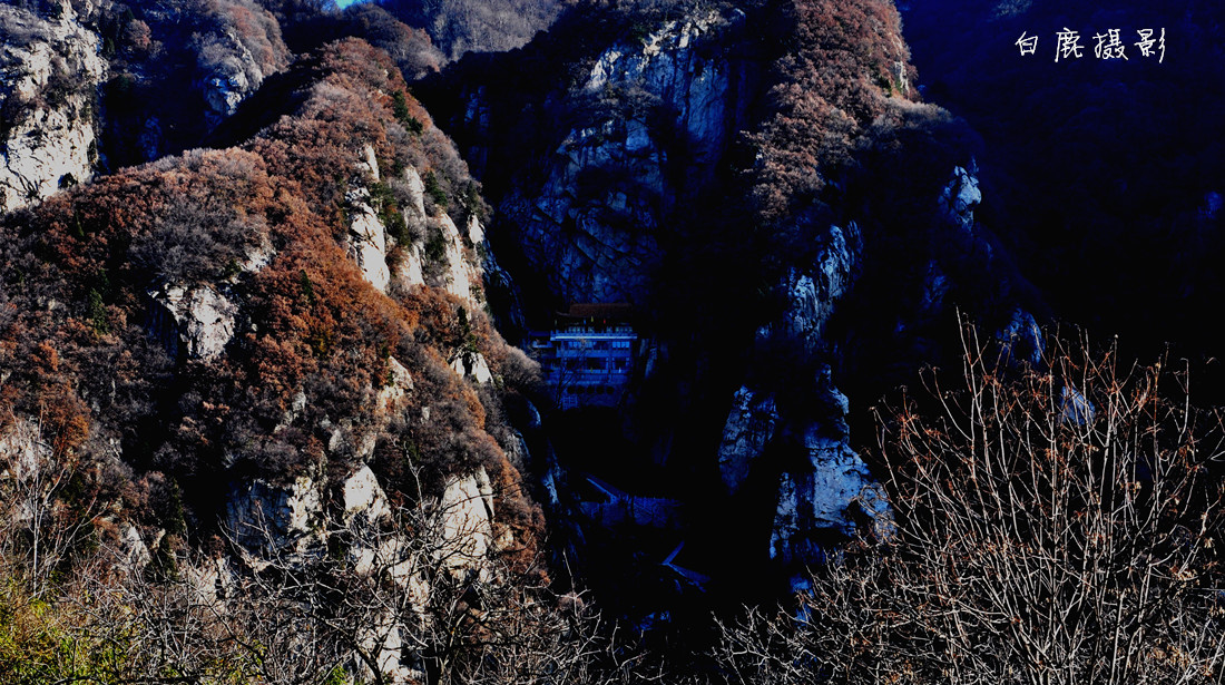 DSC_0011_副本.jpg