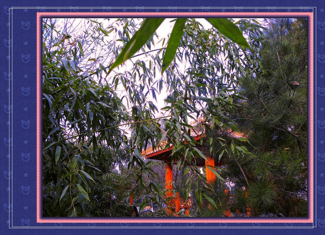 DSCN1958.JPG
