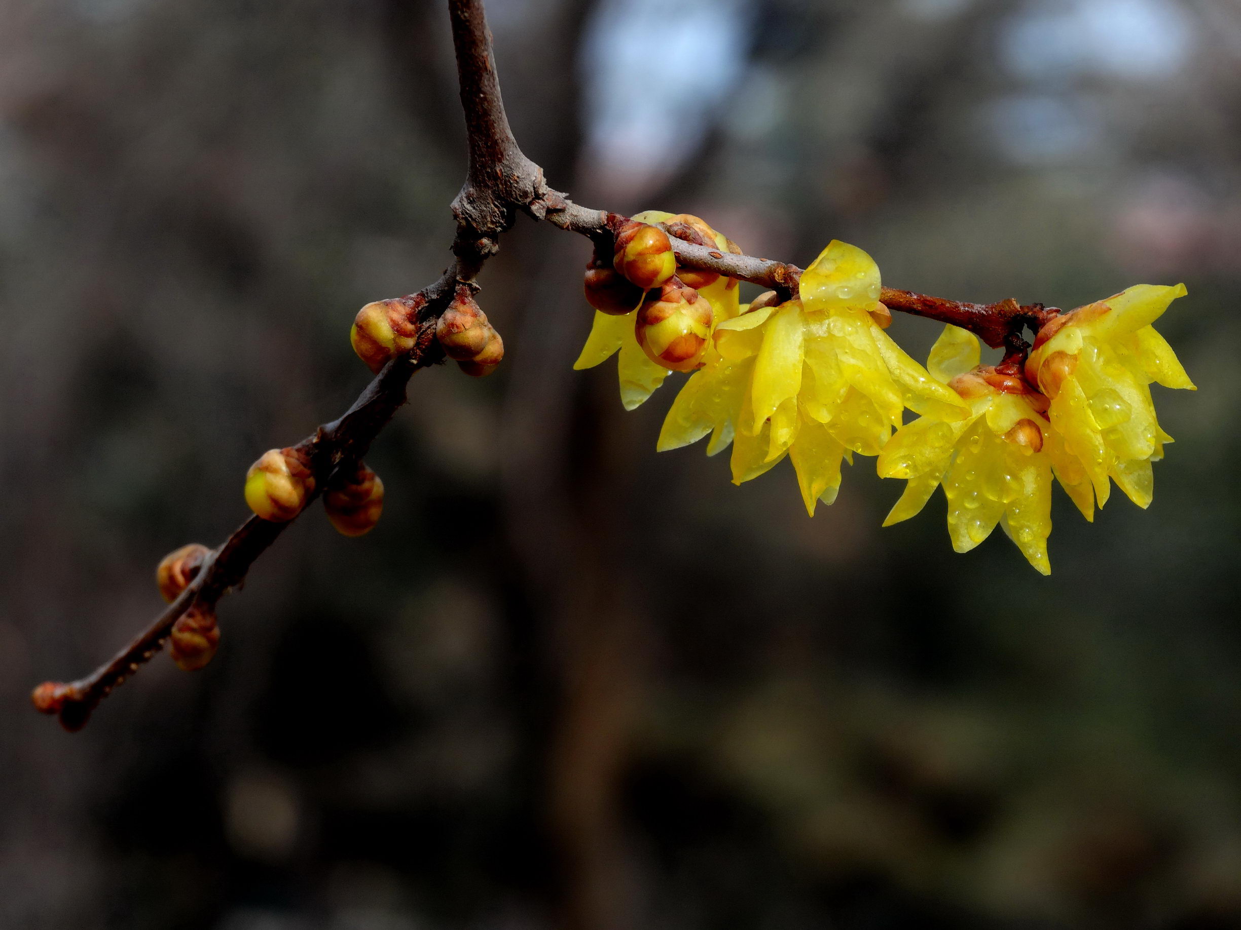 DSC09729A_调整大小.jpg