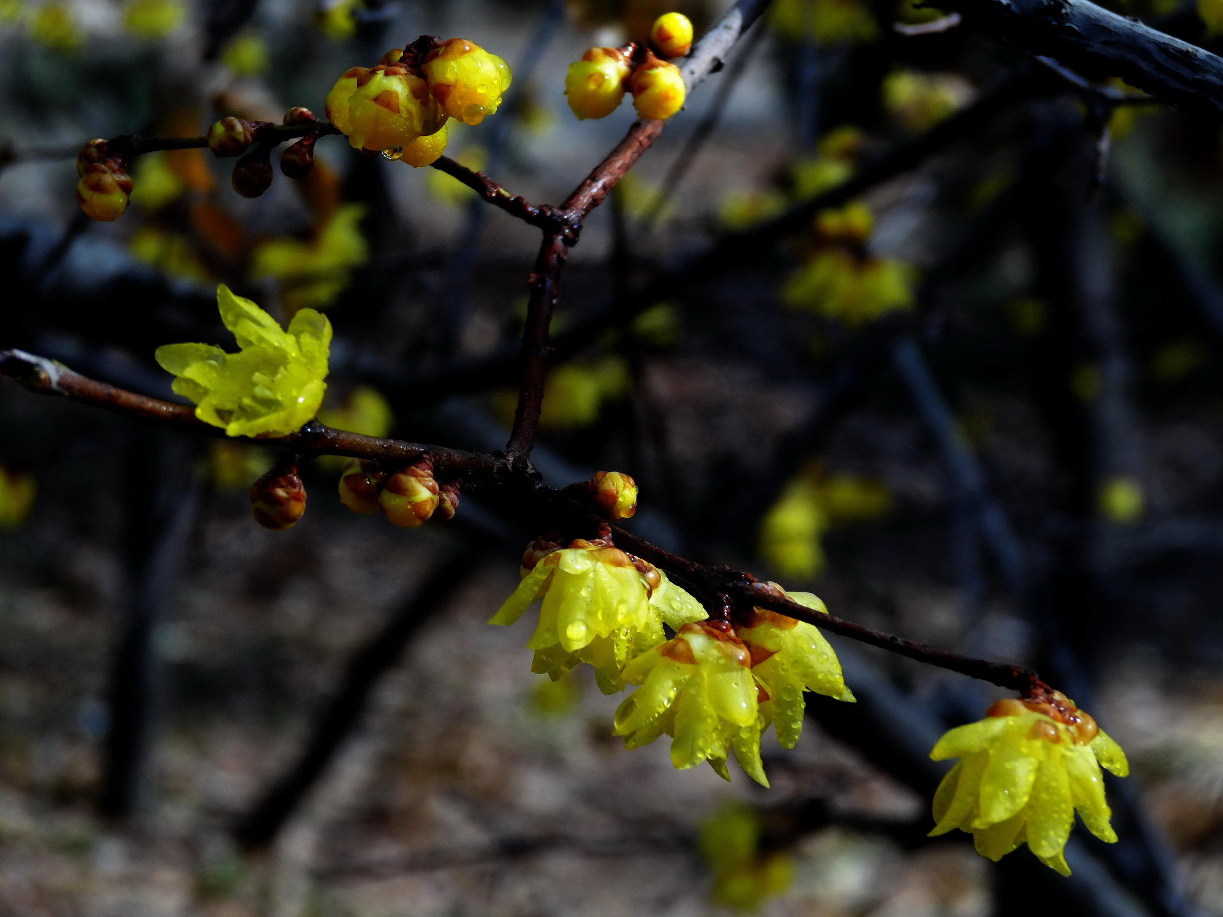 DSC09744AA_调整大小.jpg