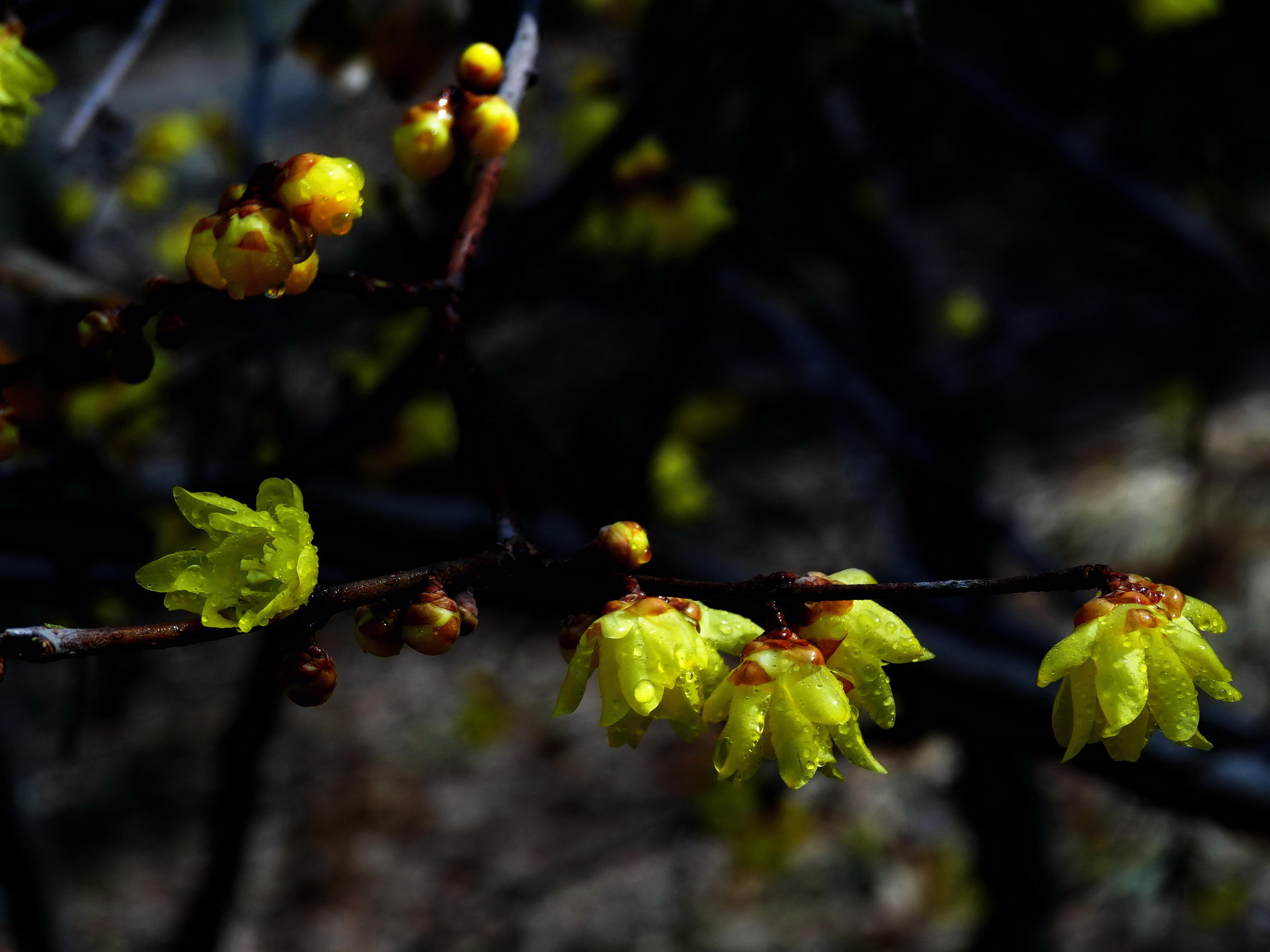 DSC09745AA_调整大小.jpg