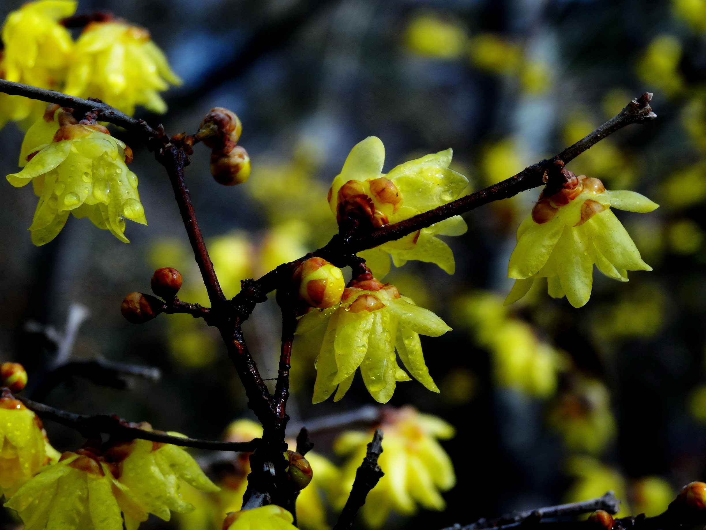 DSC09760A_调整大小.jpg