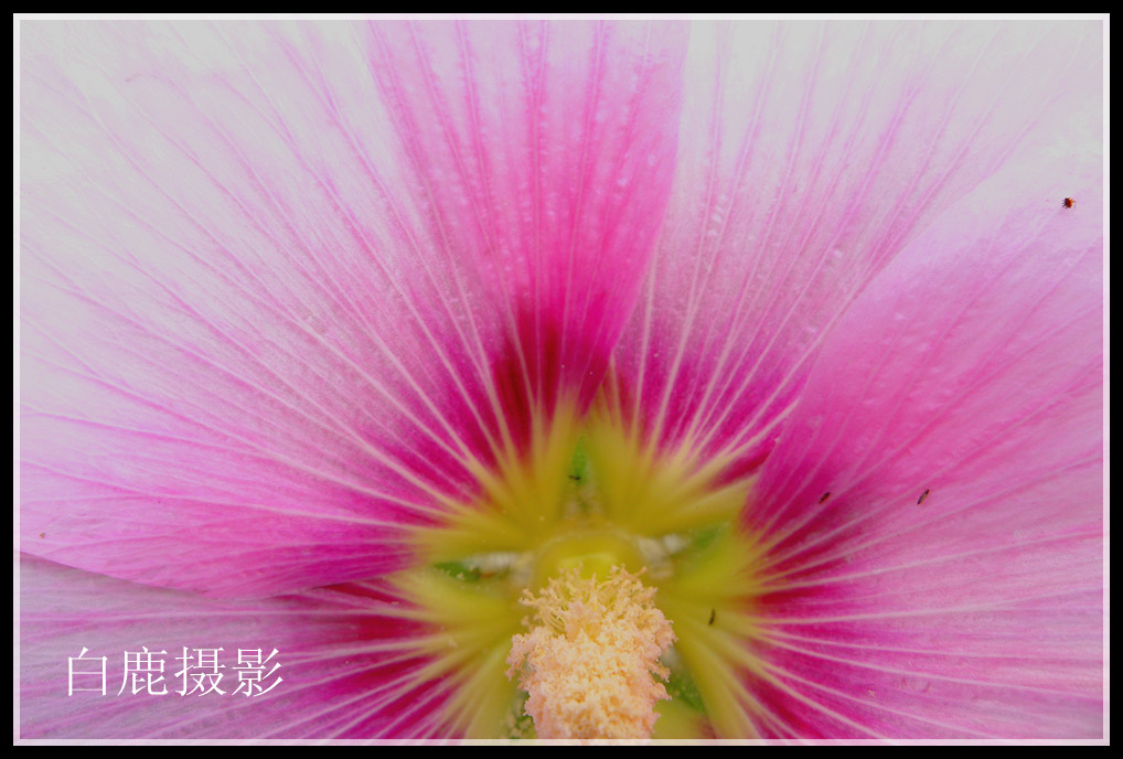 P1180131_副本_副本.jpg