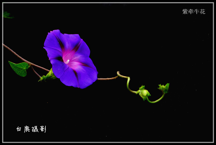 P1230112_副本.jpg