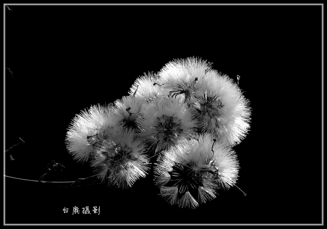 P1280097_副本.jpg