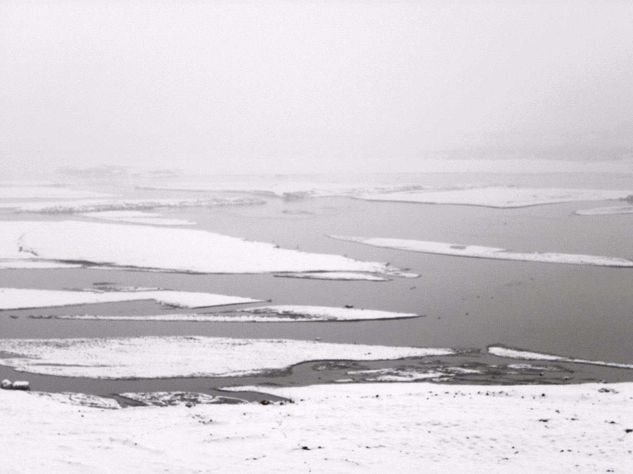 DSCN4612.JPG