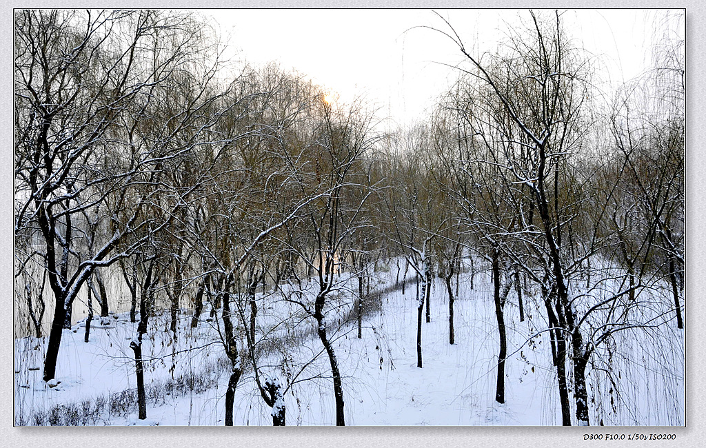 _DSC7068.jpg