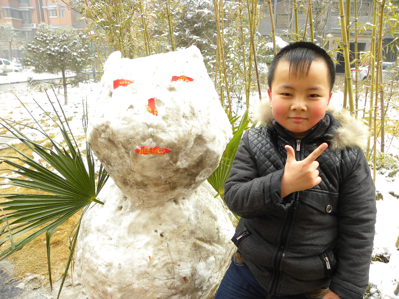 DSCN4782.JPG