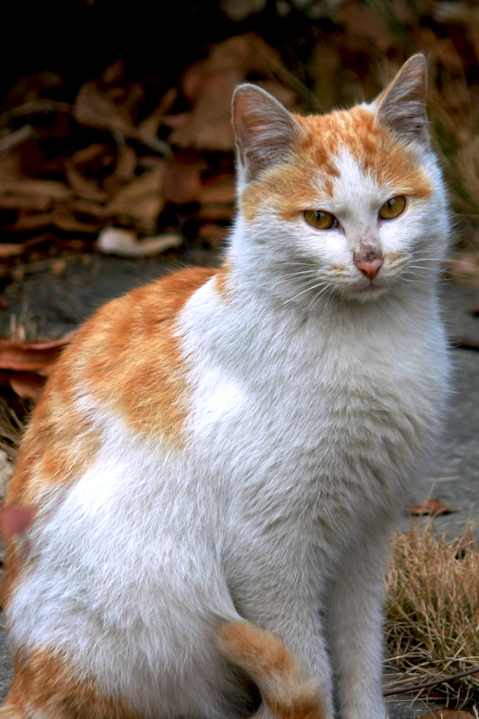 G_4666.jpg