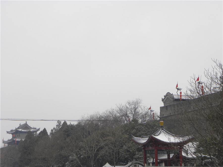 DSCN4991.jpg