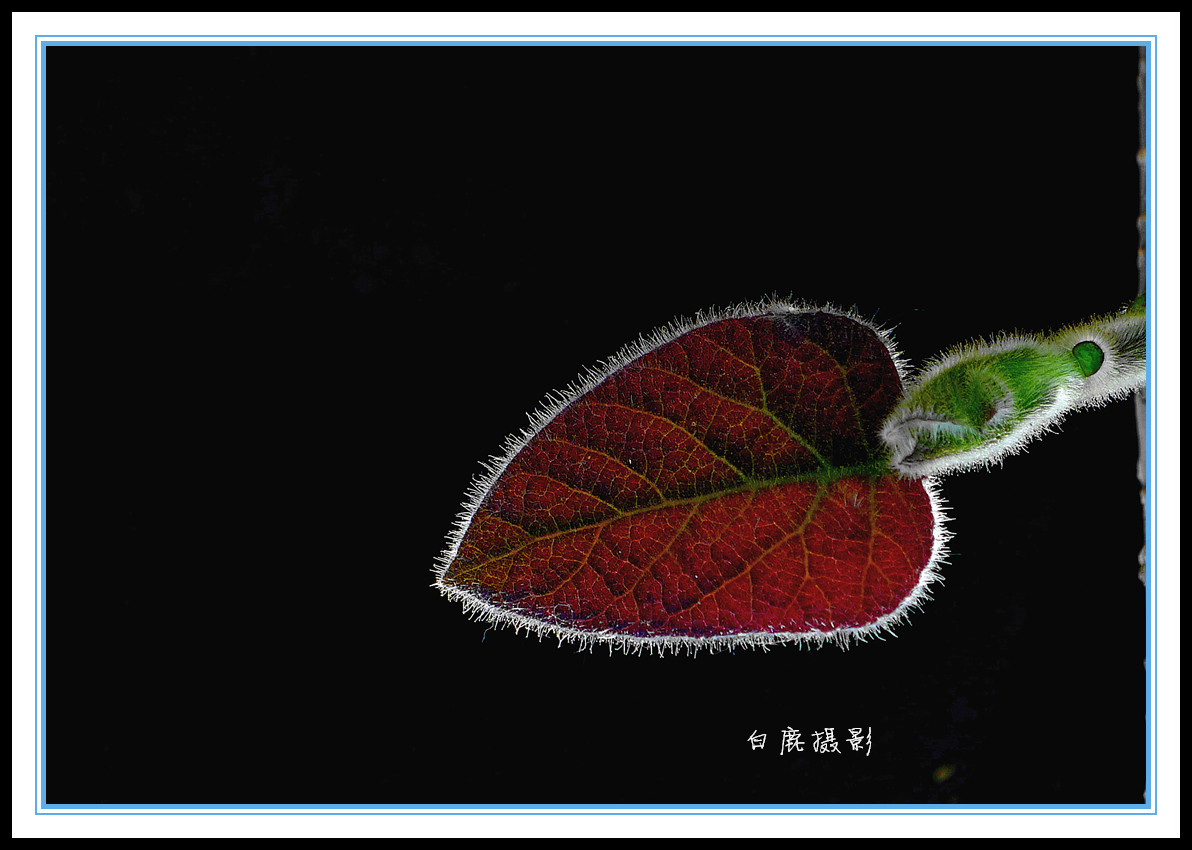 P1160922_副本_副本.jpg