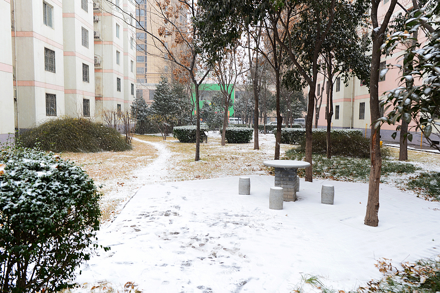 小区雪景1.jpg
