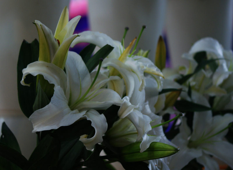 DSC08464.JPG