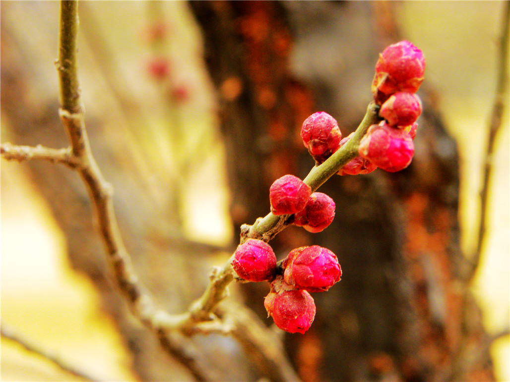 DSCN5950.JPG