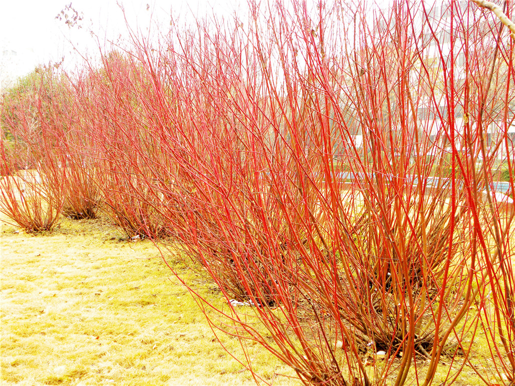 DSCN5942.JPG