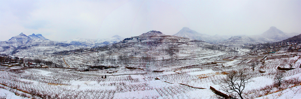 未标题_全景图3.jpg