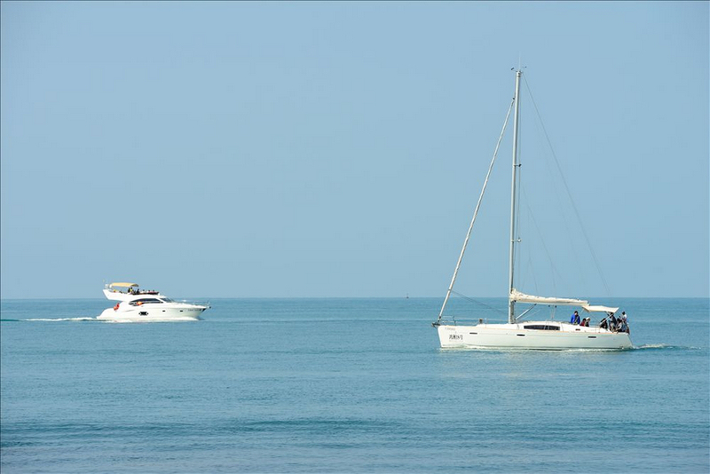 DSC_3377.jpg