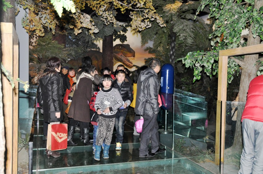 DSC_0032_conew1.jpg