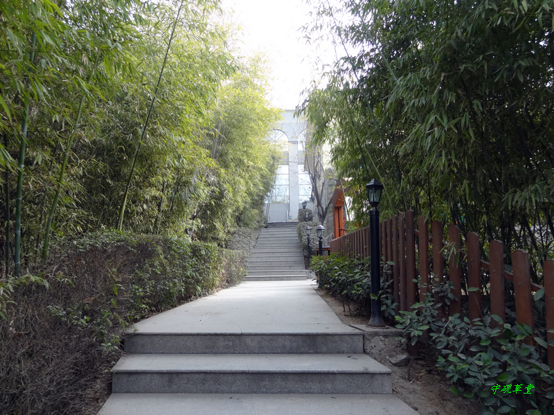 DSC07130.jpg